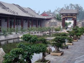 --_北京市京開園林綠化發(fā)展